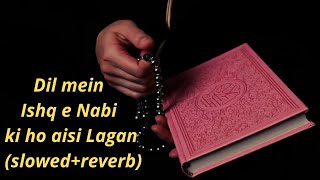 Dil main Ishq e Nabi ki ho Aisi Lagan slowed reverb | Ya Mohammad Naat Lofi | Nath (slowed+reverb).
