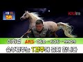 20181124 이화령의 전개로 푸는 오늘의 경마 토요일 서울 경마예상방송