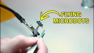 Insect-Sized Flying Microrobots