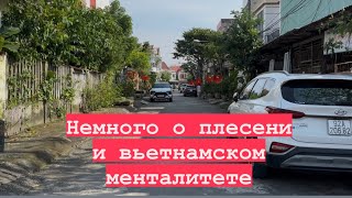 Район обеспеченных вьетнамцев. Вьетнамский менталитет. И еще  раз о плесени.