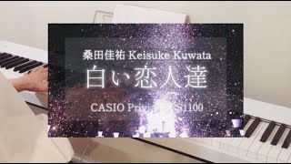 Long ver.「白い恋人達」 桑田 佳祐  / ピアノソロ  耳コピ / CASIO Privia PX-S1100 / Shiroi Koibitotachi - Keisuke Kuwata