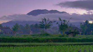 เทศนาธรรม มรรคภาวนา จิตภาวนา หลวงปู่พระมหาโส กัสฺสโป วัดป่าคำแคนเหนือ(ธฺ.)  อ.มัญจาคีรี จ.ขอนแก่น