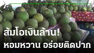 ส้มโอหวาน สร้างเงินล้านให้ชาวบ้านแท่น | 31-08-64 | ตะลอนข่าว