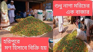 সিলেট হরিপুর বাজারে নাগা মরিচ বিক্রি হয় মণ হিসাবে। এখন প্রচুর নাগা মরিচ উঠেছে বাজারে।