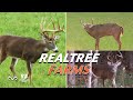 Giant Bucks From Realtree Farms | Monster Buck Moments Presented by Sportsman's Guide