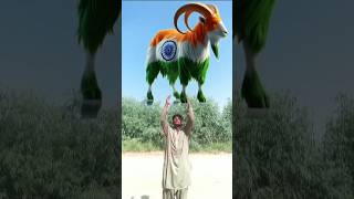 Chhoti moti galti maaf Karo Dil ko Apne saaf karo#Islamic short video viral# Islamic VFX