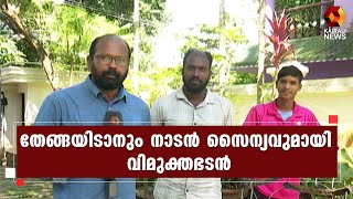 കൊല്ലം തഴവയിലാണ് വിമുക്തഭടനായ  വിനു തേങ്ങ ബോയ്സ് എന്ന സംരംഭത്തിന് രൂപം നൽകിയത് | Kairali News