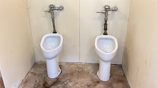 Two Vintage Crane Sanuro Pedestal Urinals And Crapderas