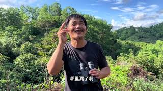 新手一看就会的望远镜找蜜蜂教程 ，新手朋友一定要收藏起来！