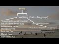 Comparisons between Hawaiian and other Austronesian languages PART 1