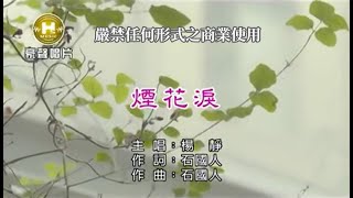 楊靜-煙花淚【KTV導唱字幕】