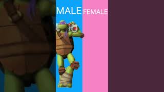 Genderswap edit #shorts  Teenage Mutant Ninja Turtles