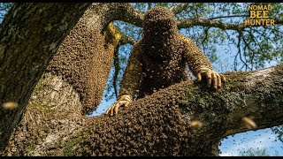 Terrifying Moment Wild Bee Hunters Face The Most Aggressive Hive Ever