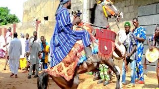 Adossa Gadaou 2025 festivals des chevaux en veille en route à Sokodé préparer vous allez