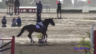 045S Amanda Boyce on Carter  Open Preliminary Championship Show Jumping Ram Tap October 2022