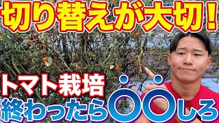 【意識しろ！】トマト栽培を終わらせたらやるべき作業について