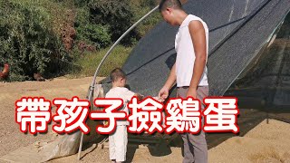 【石頭記事】今天帶上老婆和孩子進山撿雞蛋，草叢裡到處都是雞蛋，寶寶好開心