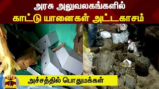 அரசு அலுவலகங்களில் காட்டு யானைகள் அட்டகாசம்..  அச்சத்தில் பொதுமக்கள்