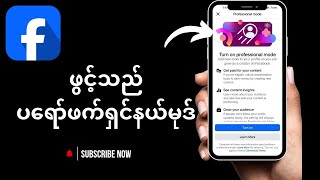 Facebook 2025 (iPhone နှင့် Android) တွင် ပရော်ဖက်ရှင်နယ်မုဒ်ကို ပြုပြင်နည်း