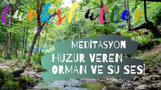 Erikli Şelalesi | Dinlendiren Su Sesi ve Muhteşem Doğa Manzarası | Meditasyon | Yalova #Meditasyon