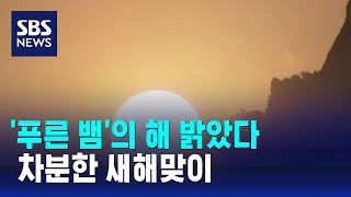 '푸른 뱀'의 해 밝았다…차분한 새해맞이 / SBS