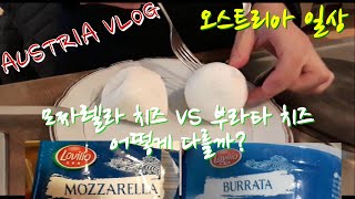 🍴🥚부라타 치즈, 🍴🥚모짜렐라 치즈! 어떻게 다를까? 모짜렐라 치즈 VS 부라타 치즈 burrata vs mozzarella  [Austria Vlog] [오스트리아일상]