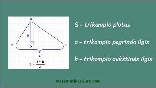 Trikampio plotas - taikome trikampio ploto formulę | MatematikosGuru.com