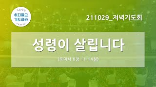 [한빛감리교회] 211029_저녁기도회_성령이 살립니다_로마서 8장 11-14절_백용현 담임목사