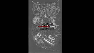 Necromonarchia Daemonum (Finland) - Stygian Serenade (Demo) 2017