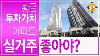 은평뉴타운 대장아파트 분석, 실거주아파트 좋은점 분석_네오비동서남북