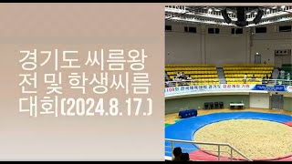 매화초 씨름왕전 (2024.8.17.)