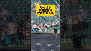 甲子園の阪神園芸をべた褒めする新庄監督　#新庄剛志#新庄監督#日ハム#日本ハム#阪神タイガース#岡田監督#甲子園#阪神タイガース