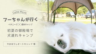 ペキニーズのフーちゃんと行く！御殿場で犬連れキャンプinやまぼうしオートキャンプ場。グータラのんびりしましたよ