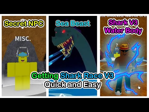 How To Get Shark Race V3 Blox Fruits [Easy Guide 2023]
