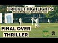 6 OFF 1?! FINAL OVER THRILLER | Three Bridges Cricket Club vs SEVENOAKS VINE 2019