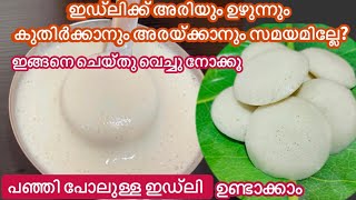 ഇങ്ങനെ ചെയ്താൽ എപ്പോഴും പഞ്ഞി പോലുള്ള ഇഡ്‌ലി ഉണ്ടാക്കാം മാവ് പതഞ്ഞു വരും No Yeast No Soda//Soft Idli