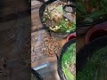 中壢老師傅牛肉麵讚啦！ 中壢美食 food 牛肉麵