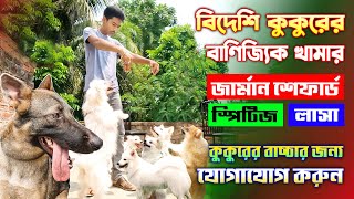 German Shepherd Puppy Price | কুকুর কেনার ক্ষেত্রে সাবধান।