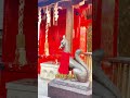 下谷神社　東京都 神社 神社仏閣 開運 パワースポット japantravel japaneseculture shrine 上野 ueno