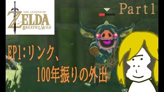 【BotW】ゴリンクめざして裸マスターモードpart1