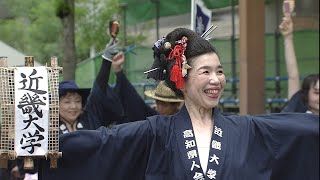 「近畿大学高知県人会」第70回よさこい祭り