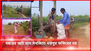 আনোয়ারায় শীতকালীন সবজি চাষে ব্যস্ত সময় পার করছেন কৃষকরা