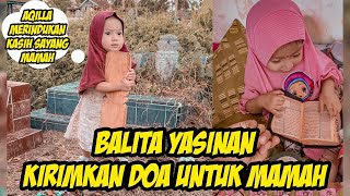 AQILLA KIRIMKAN DOA UNTUK MAMAH YG DISURGA DENGAN BERUSAHA MEMBACA SURAT YASIN.