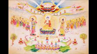 Kinh Vô Lượng Thọ-Thầy Thích Trí Thoát (Không quảng cáo)