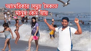 আমেরিকার সমুদ্র সৈকতে মানুষ কেন যায় -দেখুন এই সমুদ্র সৈকতে কি কি হয়