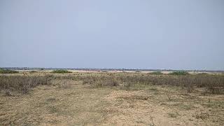 Sand Mafia in Bodhan mandal Hunsa village