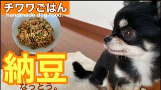 「毎日チワワごはん」栄養満点～ひきわり納豆チャーハン【handmade dog food】