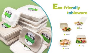 #Biodegradable #Disposable 3Plant #Fiber #Sugarcane #Bagasse #Burger #Box #Lunch Box Food Containers