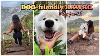 Dog-friendly Hawaii : Part 1 | Bucketlist sunrise hike + Beach time