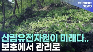 산림유전자원이 미래다.. 보호에서 관리로